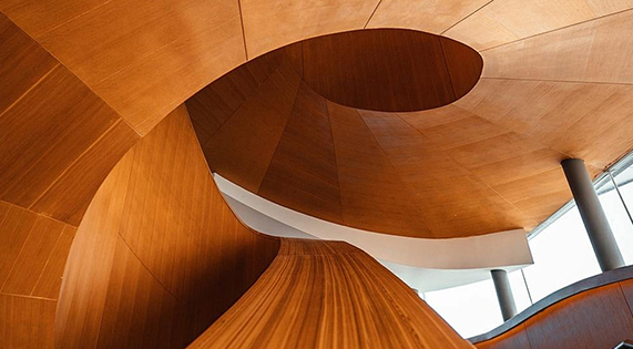 破局內卷，向上而生——華洲木業的品質與創新之路