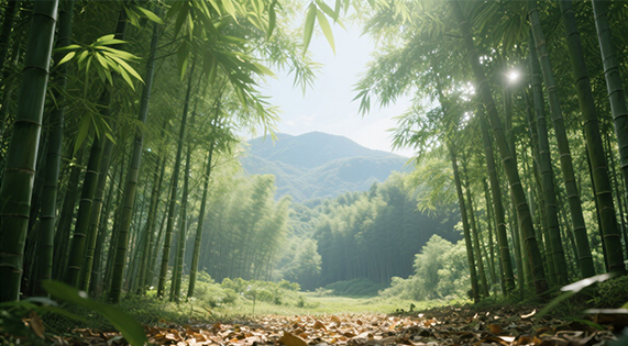 華洲竹馨板：從鮮竹到臻品，每一步都是工藝的極致追求