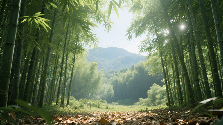 官網2.jpg 官網2.jpg